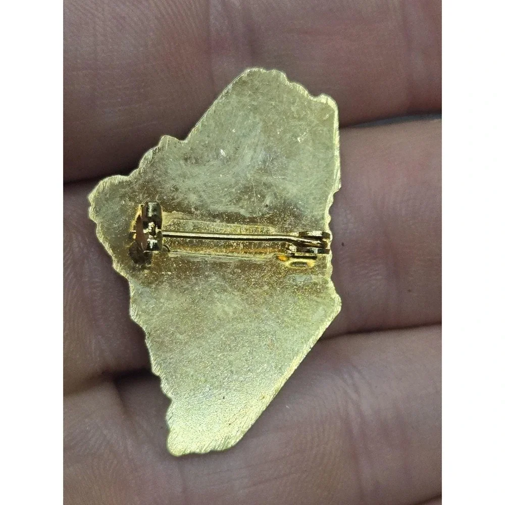 Vintage 1984 Manchester Maine Lions Club Pin State Shape Bird Tree Enamel